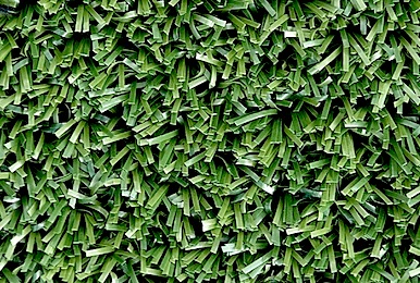 Artificial Turf
