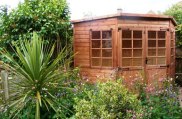 Timber Shed / Workshop